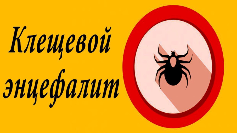 ОСТОРОЖНО КЛЕЩ!!! ОСТОРОЖНО КЛЕЩ!!!.