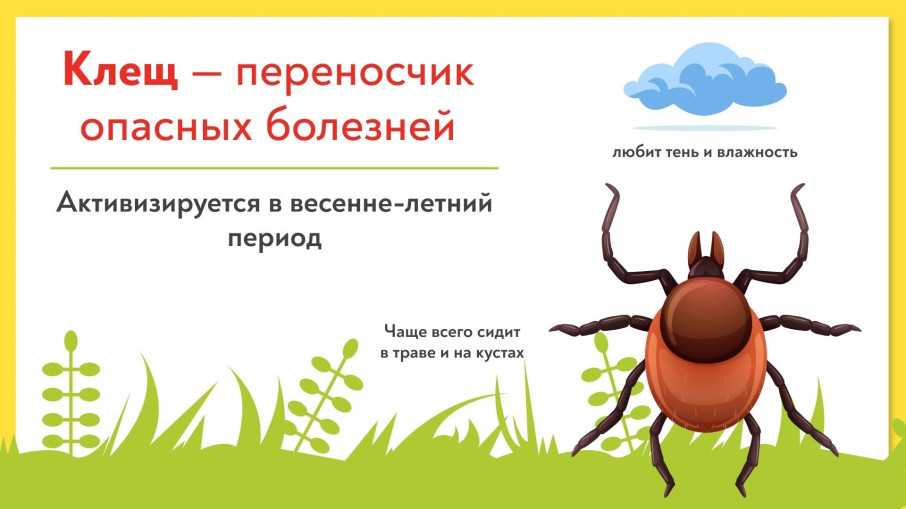 ОСТОРОЖНО, КЛЕЩИ! ОСТОРОЖНО, КЛЕЩИ!.